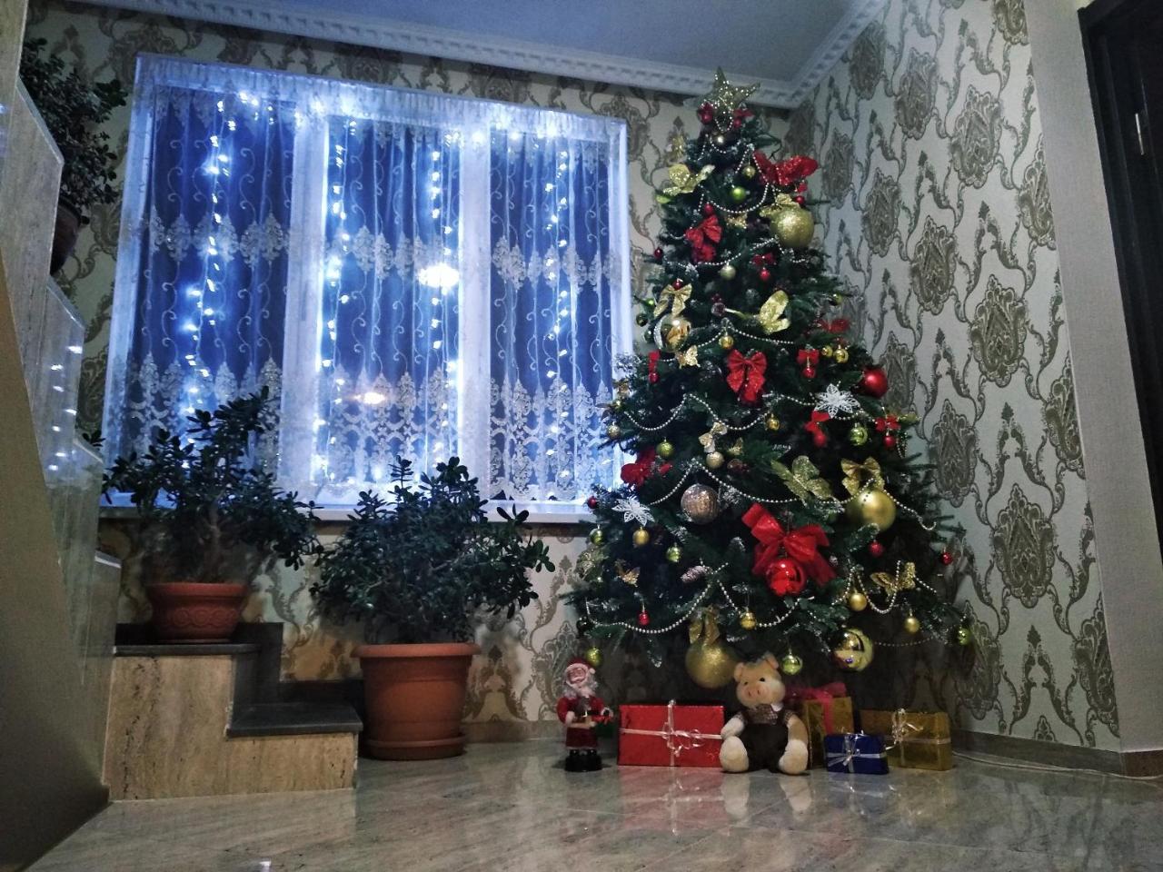 Sophia'S Guesthouse كازباجي المظهر الخارجي الصورة